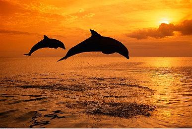 传言：RTX 30 Super系列游戏本2022年初上市